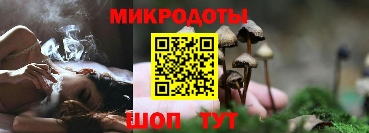 Галлюциногенные грибы прущие грибы  Вход с VPN  Галлюциногенные грибы GOLDEN TEACHER  Самара 